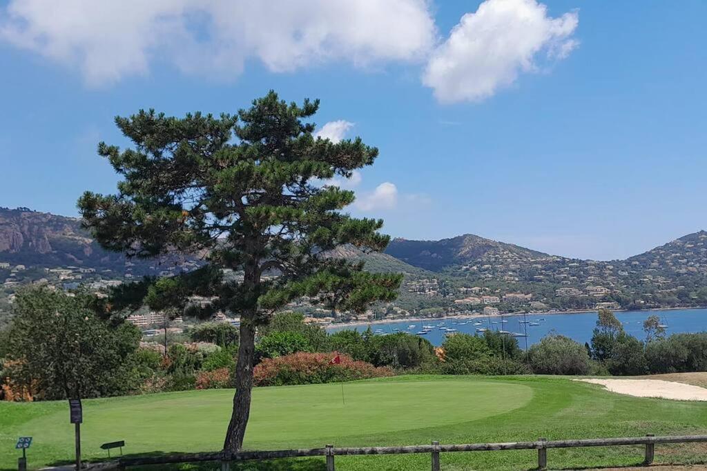 Cadre D'Exception: Panoramic Sea View Apartment in Saint-Raphael Exterior photo