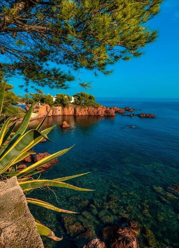 Cadre D'Exception: Panoramic Sea View Apartment in Saint-Raphael Exterior photo